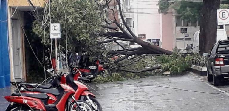 Chuva de 45 mm acompanhada de fortes ventos é o suficiente para causar estragos em Patos