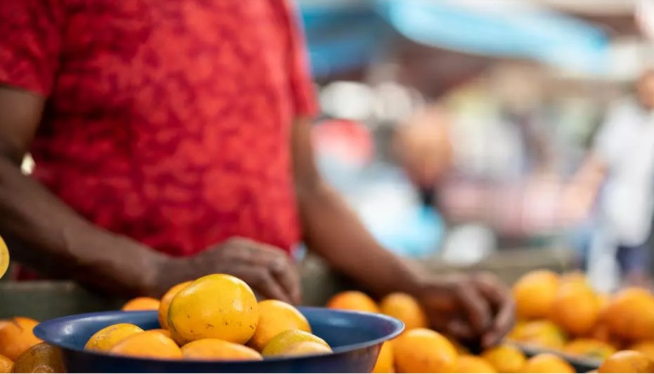 Ong suíça denuncia situação precária dos colhedores de laranjas no Brasil